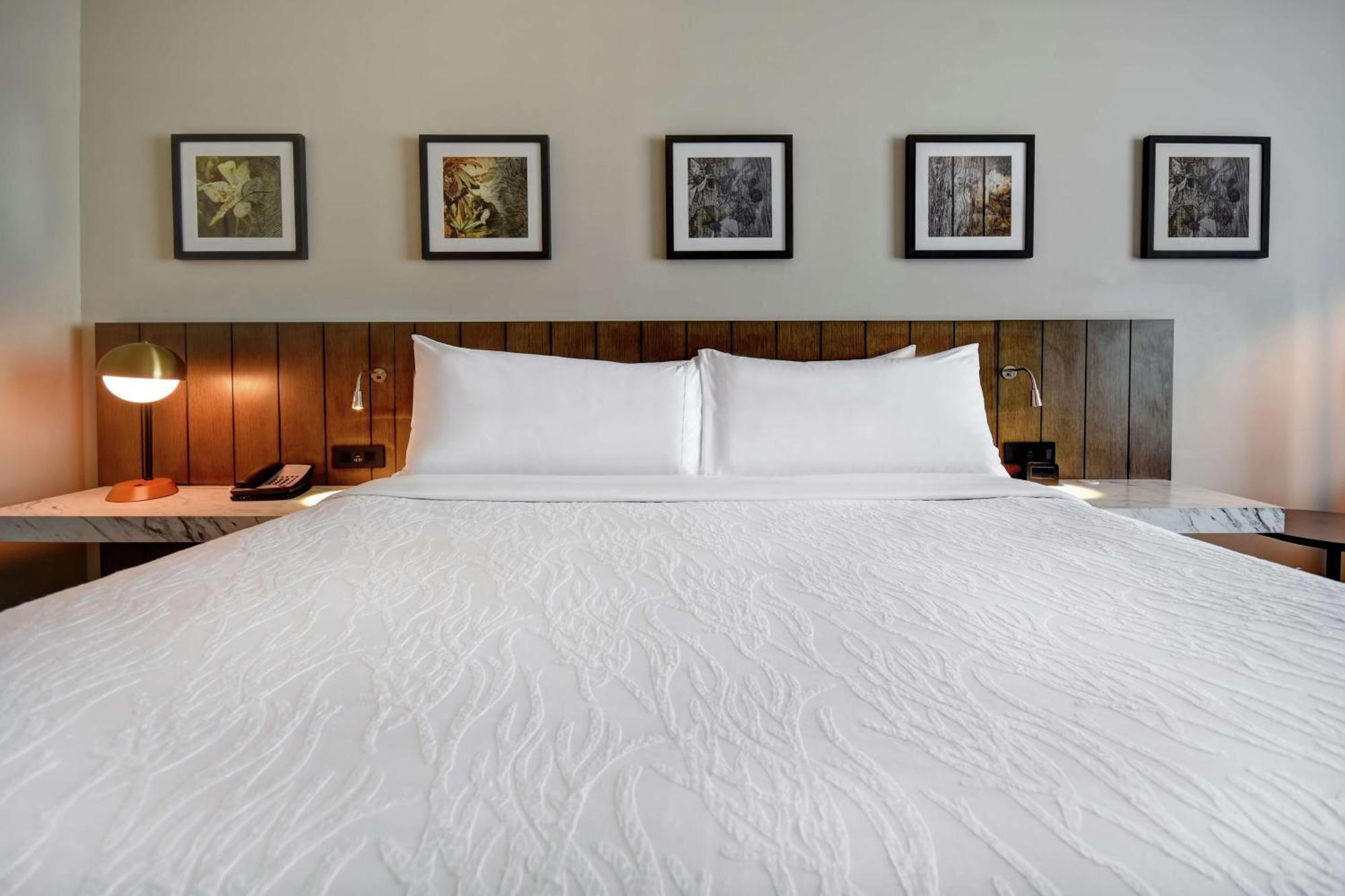 Hilton Garden Inn Τζάκσον Εξωτερικό φωτογραφία