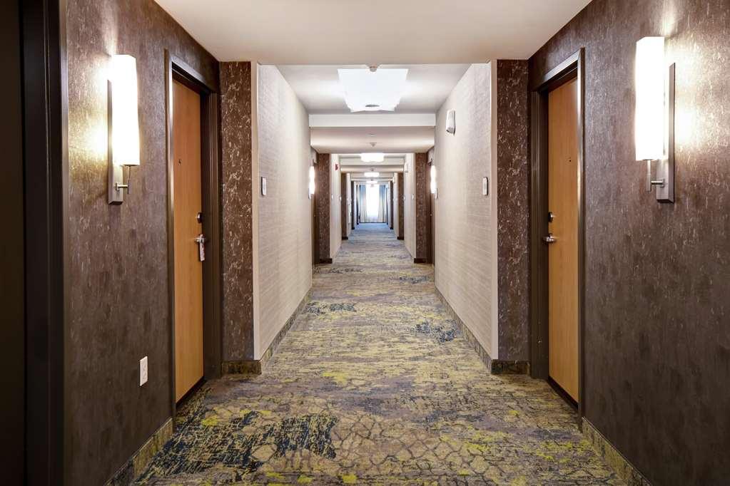 Hilton Garden Inn Τζάκσον Ανέσεις φωτογραφία